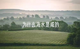 為什么海水是咸的（海水為何是咸的）