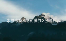 水凝凍膜和鋼化膜的區(qū)別是什么？