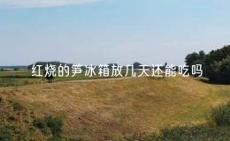 紅燒的筍冰箱放幾天還能吃嗎？