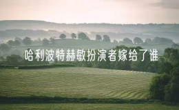 哈利波特赫敏扮演者嫁給了誰？