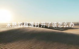 未熟的榴蓮打開了該怎么辦（未熟的榴蓮開了還能熟嗎）