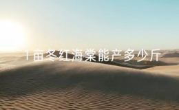 1畝冬紅海棠能產(chǎn)多少斤？怎么養(yǎng)好1畝2年掛果3次？