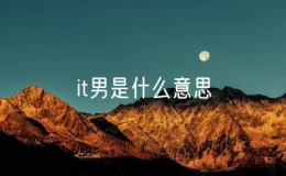it男是什么意思？10個(gè)it男9個(gè)單身!