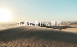 小滿代表什么意思（小滿是代表什么）