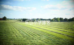 樂山小學(xué)排名（樂山市重點小學(xué)名單）