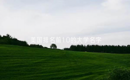 美國(guó)排名前10的大學(xué)名字（美國(guó)10大名校）