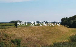 去四川達州必吃的小吃（達州十大特色美食排名）