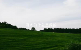 海水為什么是咸的（為什么海水有大量的鹽分）