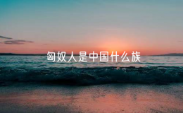 匈奴人是中國什么族（匈奴算不算中國人）