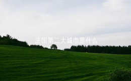法國第二大城市是什么（法國里昂城市介紹）