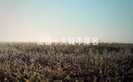 法國十大城市排名（法國哪個城市最安全）