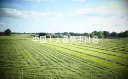 中國(guó)十大藏獒王排名（中國(guó)最有名的10只藏獒）