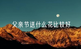 父親節(jié)送什么花比較好（父親節(jié)適合送什么花給父親）