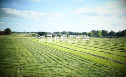 法國有哪些大學(xué)（法國大學(xué)排名前十名）