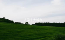 法國十大城市（法國哪些城市值得去）