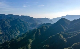 大別山最高峰在哪里（大別山在哪個?。浚?></i>
        <p>大別山最高峰在哪里（大別山在哪個?。浚?/p>
        <font>大別山是一條坐落在安徽、湖北、河南三省交界處的山脈，大別山中大部分山地海拔在1500米左右，所處位置西望武漢、東守南京，且是長江與淮河的分水嶺，自古以來就是一座具有獨(dú)特的戰(zhàn)略地位，...</font><span><strong class=