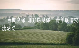 “會聚良緣 剛好遇見你”青年聯(lián)誼交流活動