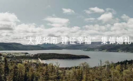 “大愛華南 建證幸?！奔w婚禮