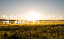 走出機(jī)械司法的怪圈——融合理論與實(shí)踐，兼顧實(shí)體與程序
