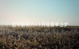 造車新勢(shì)力11月成績單出爐