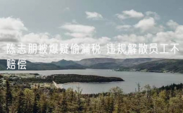陳志朋被爆疑偷漏稅 違規(guī)解散員工不賠償