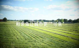 相親角讓城市更“可親”