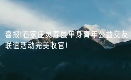 喜報(bào)!石家莊靈壽縣單身青年公益交友聯(lián)誼活動完美收官!