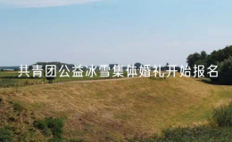 共青團(tuán)公益冰雪集體婚禮開(kāi)始報(bào)名