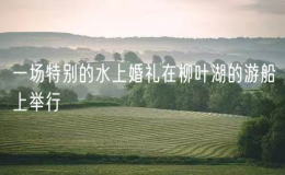 一場(chǎng)特別的水上婚禮在柳葉湖的游船上舉行