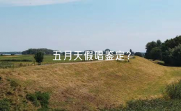 五月天假唱鑒定？