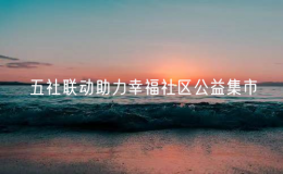 五社聯(lián)動(dòng)助力幸福社區(qū)公益集市