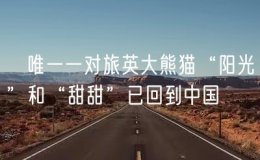 ?唯一一對(duì)旅英大熊貓“陽(yáng)光”和“甜甜”已回到中國(guó)