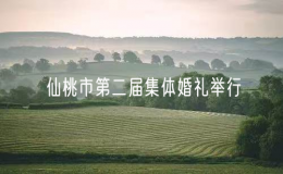 仙桃市第二屆集體婚禮舉行