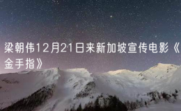 梁朝偉12月21日來新加坡宣傳電影《金手指》