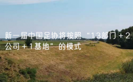 新一屆中國足協(xié)將按照“13部門＋2公司＋1基地”的模式