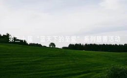 第三十屆“藍(lán)天下的至愛”系列慈善活動