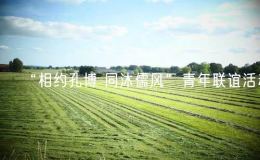 “相約孔博 同沐儒風(fēng)”青年聯(lián)誼活動(dòng)