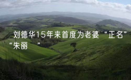 ?劉德華15年來首度為老婆“正名”“朱麗蒨”