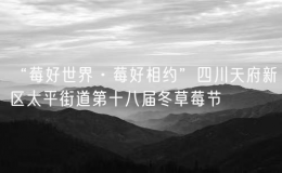 “莓好世界·莓好相約”四川天府新區(qū)太平街道第十八屆冬草莓節(jié)