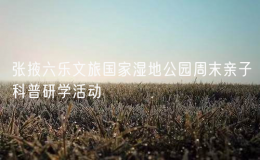 張掖六樂文旅國家濕地公園周末親子科普研學(xué)活動(dòng)