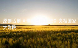 原創(chuàng)話(huà)劇《哥德巴赫猜想》亮相國(guó)家大劇院