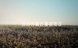 ?劉詩(shī)詩(shī)最近屢被熱議