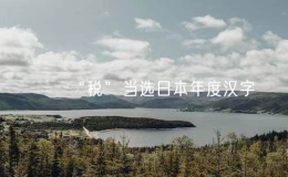 “稅”當(dāng)選日本年度漢字
