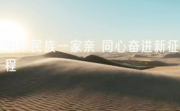 中華民族一家親 同心奮進(jìn)新征程