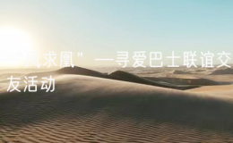 “鳳求凰”—尋愛巴士聯(lián)誼交友活動