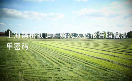 上海鵲橋聯(lián)誼匯婚戀關(guān)懷報告暗藏脫單密碼