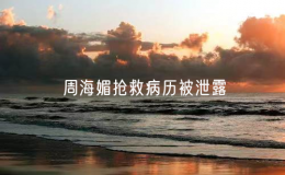 周海媚搶救病歷被泄露