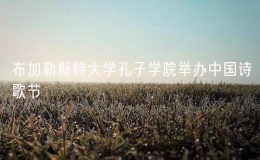 布加勒斯特大學(xué)孔子學(xué)院舉辦中國詩歌節(jié)