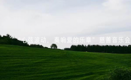 “心弦波動，奏響愛的樂章”慈善音樂會