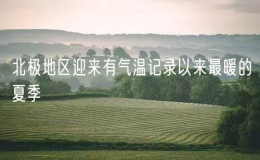 北極地區(qū)迎來有氣溫記錄以來最暖的夏季